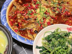 来凤鱼-新概念来凤鱼(璧山店)