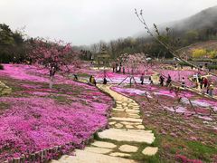 -棒棰岛宾馆景区