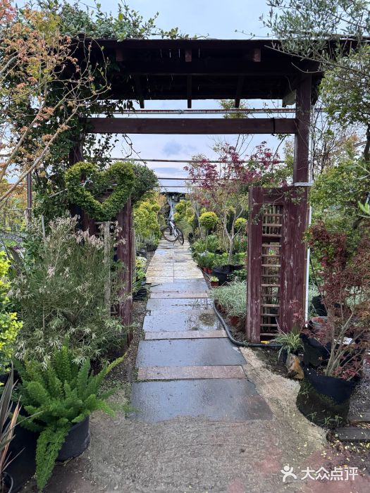 龙大花卉苗木市场图片