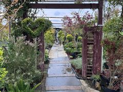 -龙大花卉苗木市场