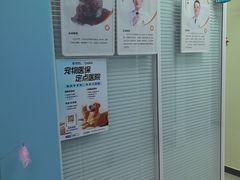 -全心全意连锁动物医院·微创中心·内科急重症·心脏专科(丰管路店)