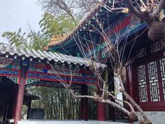 -戏马台景区
