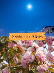 -麦粒鸟亲子游