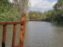 -溱湖国家湿地公园