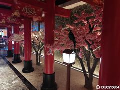 -蓝鲸湾汤泉(包河店)