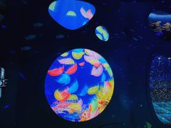 -海合安青岛极地海洋公园