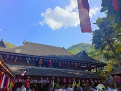 -西双版纳原始森林公园