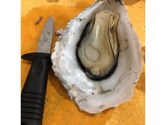 桑拿蚝-蚝专家(北滘店)