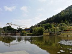 -神光山国家森林公园