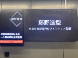 点击看大图 -藤野造型