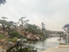 -罗红摄影艺术馆