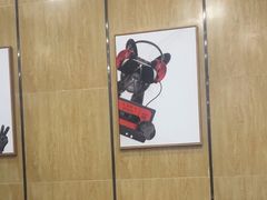 -瑞派名望志远动物医院·猫科·內科·异宠专科(直港大道店)