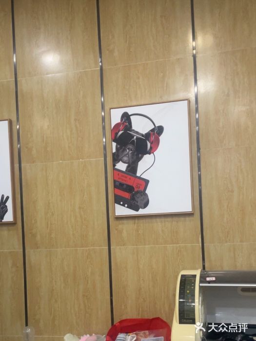 瑞派名望志远动物医院·猫科·內科·异宠专科(直港大道店)图片