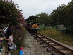 小火车-武汉紫薇都市田园