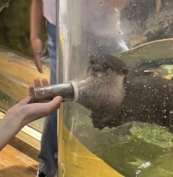 -Zoolung Zoolung动物主题公园(海信广场店)