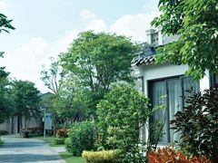 -沙美村