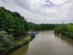 -上海长兴岛郊野公园