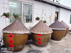 -苏州市吴中区光福窑上花果蜜饯厂