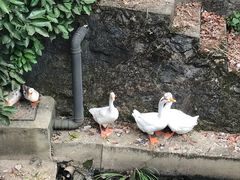 -梅岭月亮湾山体公园