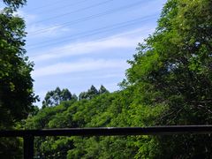 -广州体育职业技术学院
