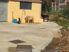 -无锡动物园·太湖欢乐园