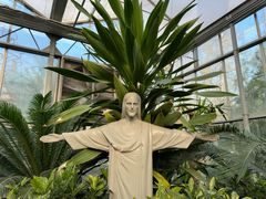 -南宫五洲植物乐园