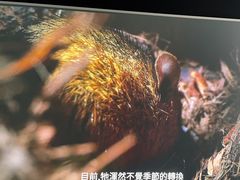 -XGIMI极米投影(壹方城店)