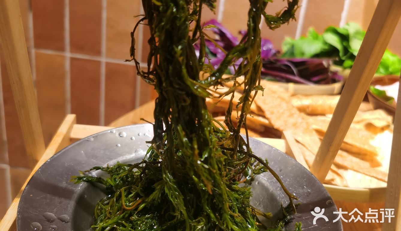 春天，这些野菜你认识么？
