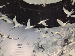-中国湿地博物馆