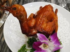 -鸽鸟轩(石岐店)