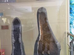 -延庆地质公园博物馆