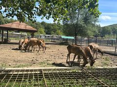 -哈尔滨北方森林动物园