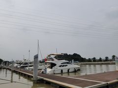 -长洲岛