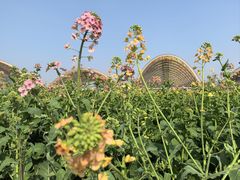 -中国天府农业博览园