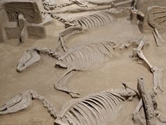 -洛阳周王城天子驾六博物馆