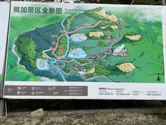 -海南霸王岭国家森林公园