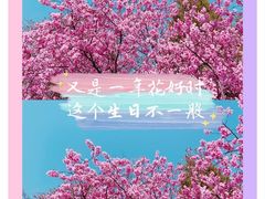 -滨河世纪广场公园