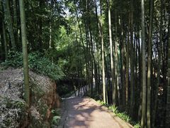 -蜀南竹海景区