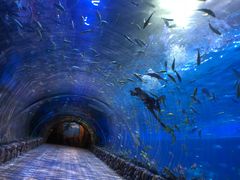 -华夏文旅海洋公园