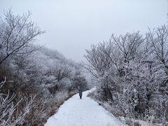 -妙峰山风景名胜区