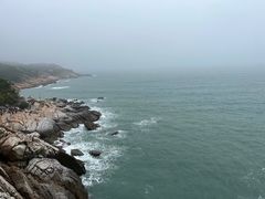 -广东惠东海龟国家级自然保护区