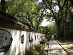 -上海佘山国家森林公园天马山园