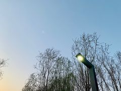 -东郊湿地公园