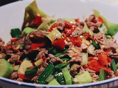 泡辣椒炒牛肉-壹盏灯(蚂蚁工房店)
