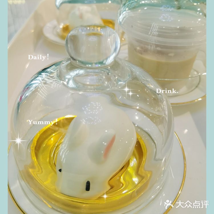 Nice 🐰meet U-魔都遇见萌兔