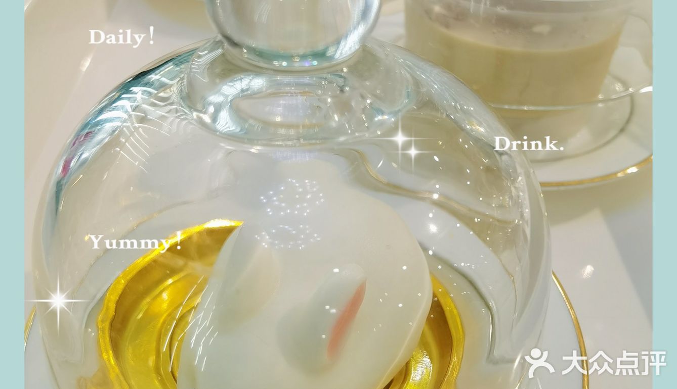 Nice 🐰meet U-魔都遇见萌兔