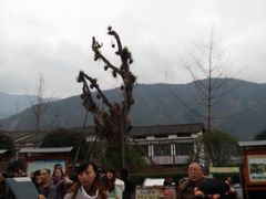 -水磨古镇