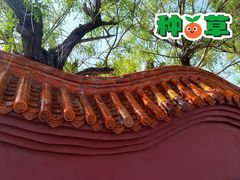 -八仙过海景区