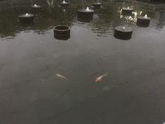 -渔堂公园餐厅·本帮菜(乐园路店)