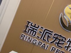 -瑞派康怡24h宠物医院·犬猫医疗中心·微创绝育(瑞景分院)
